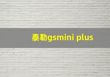 泰勒gsmini plus